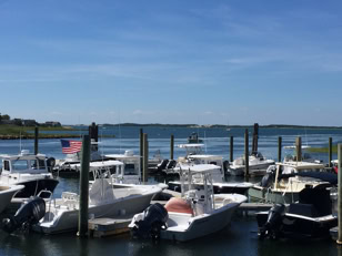 midday harbor view with lots of boats