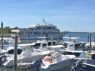 Whale Watch boat departing