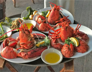 Two lobster plates
